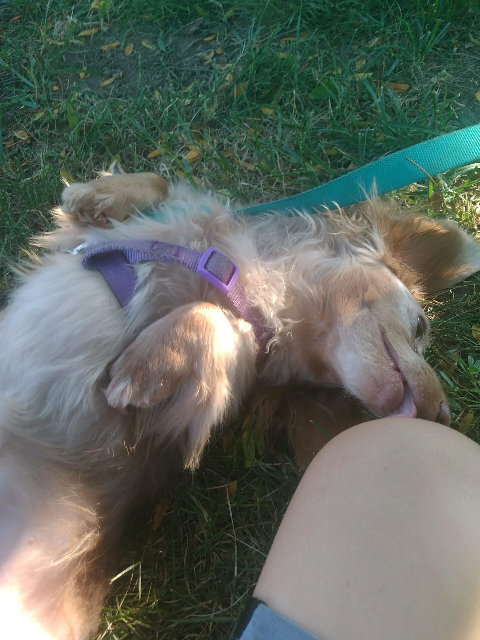 Feets Licking, as he does.