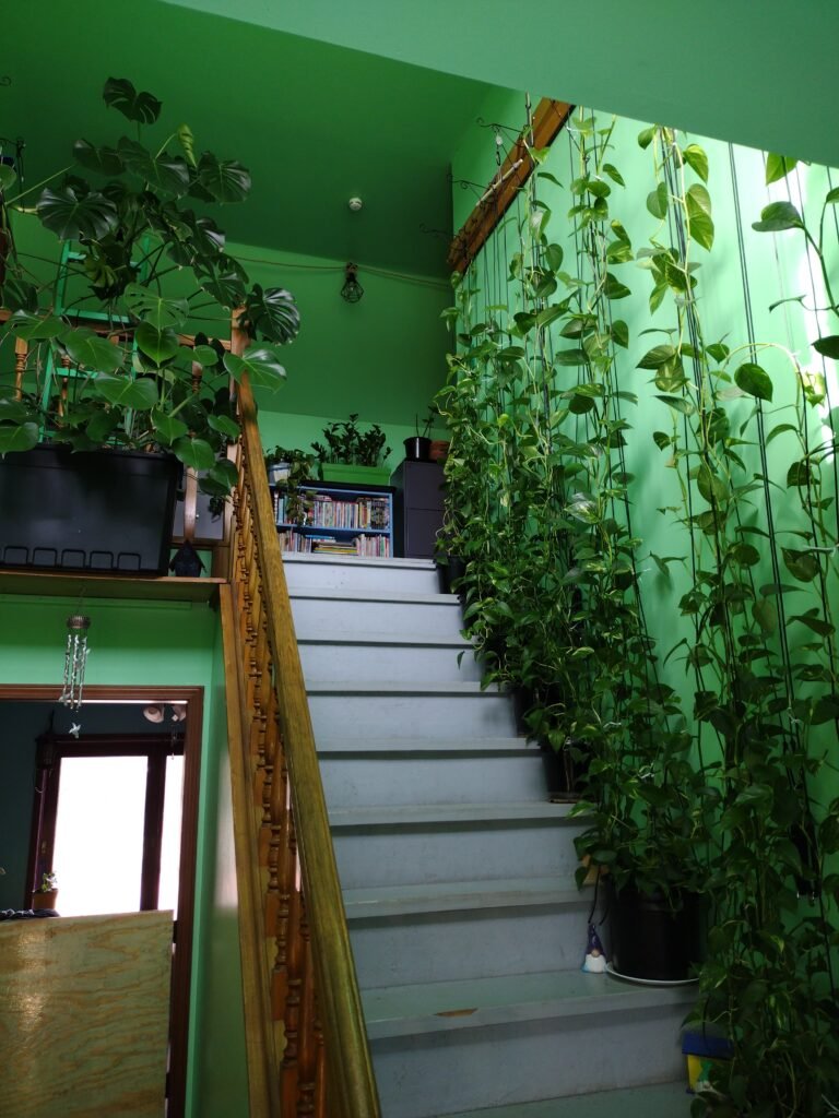 Current image: The Entry Way, Welcome to Jumanji!