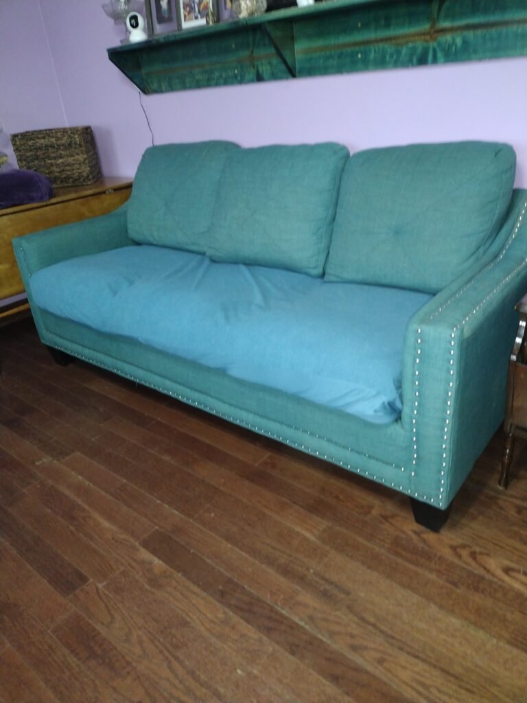 The couch with the waterproof twin sheet cover. It comes in different sizes and colors.