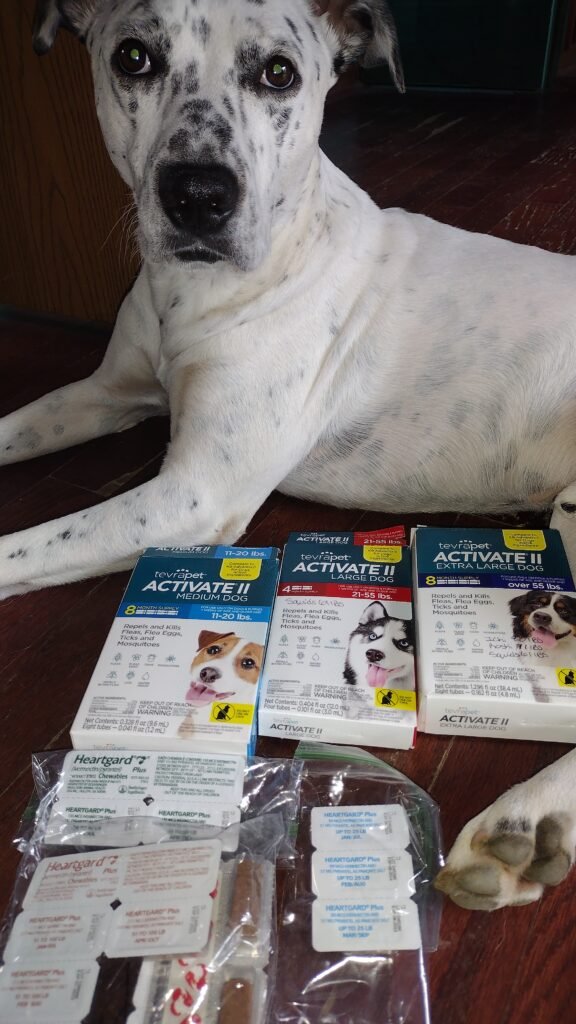 Squids modeling. Activate 2 and Heartgard for the dogs.