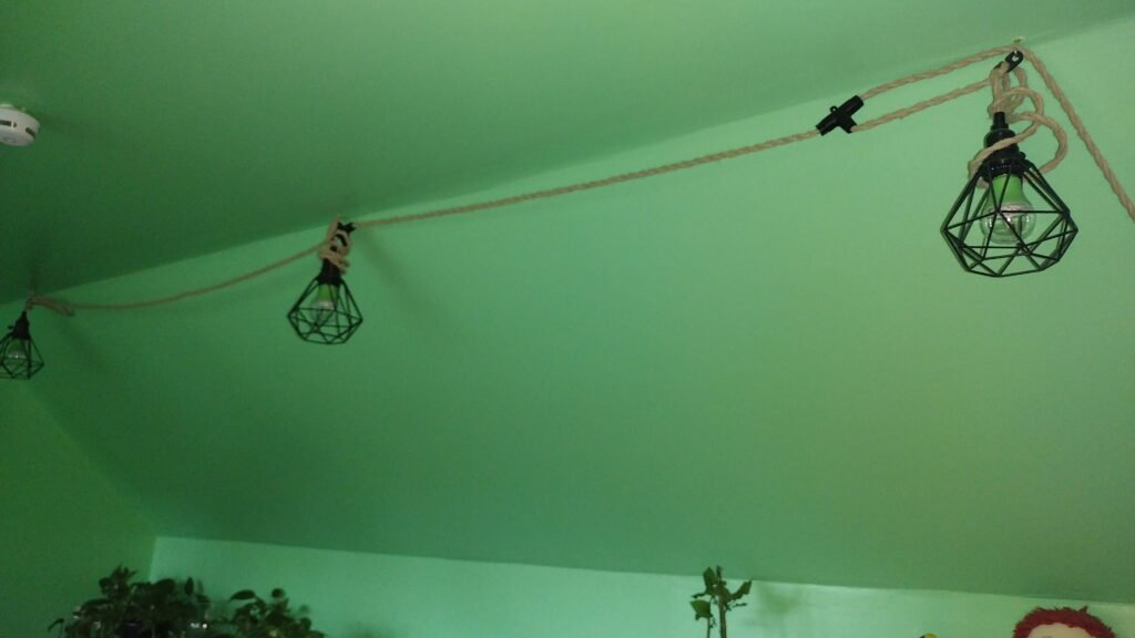 My grow lights.