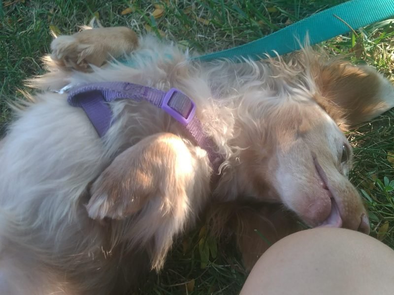Feets Licking, as he does.