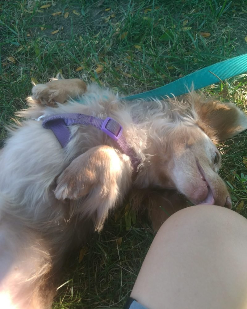 Feets Licking, as he does.