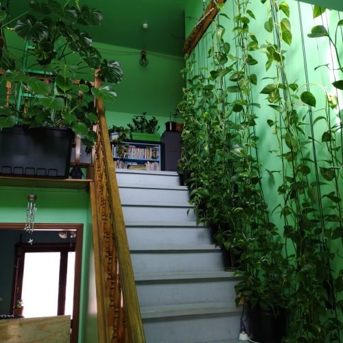 Welcome to Jumanji