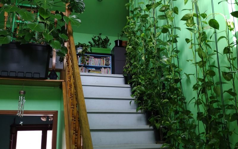 Welcome to Jumanji