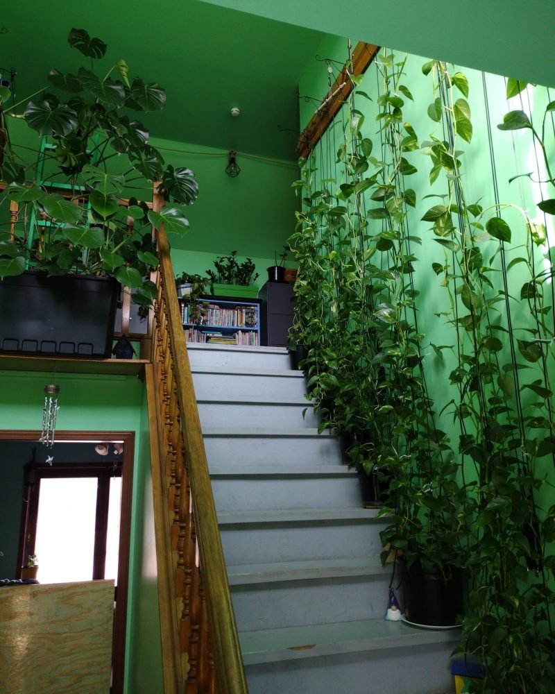 Welcome to Jumanji