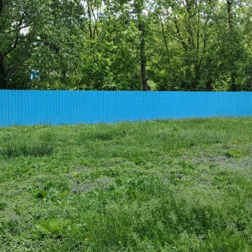 Freshly painted fence on a beautiful day