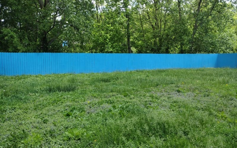 Freshly painted fence on a beautiful day