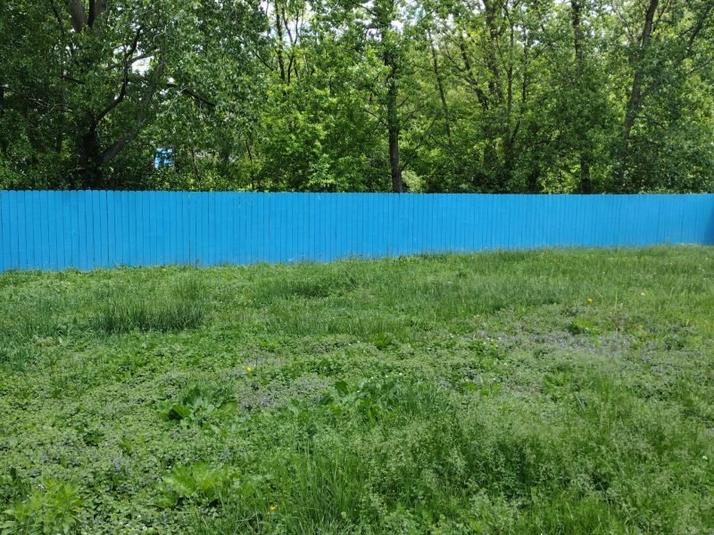 Freshly painted fence on a beautiful day