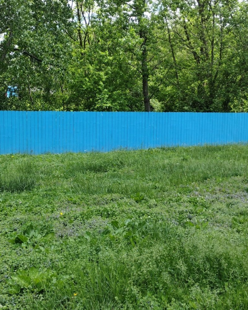 Freshly painted fence on a beautiful day